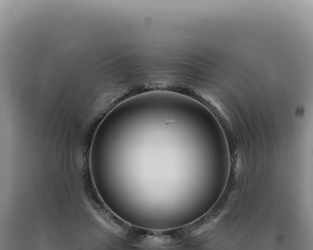 X0000090760455200707271510