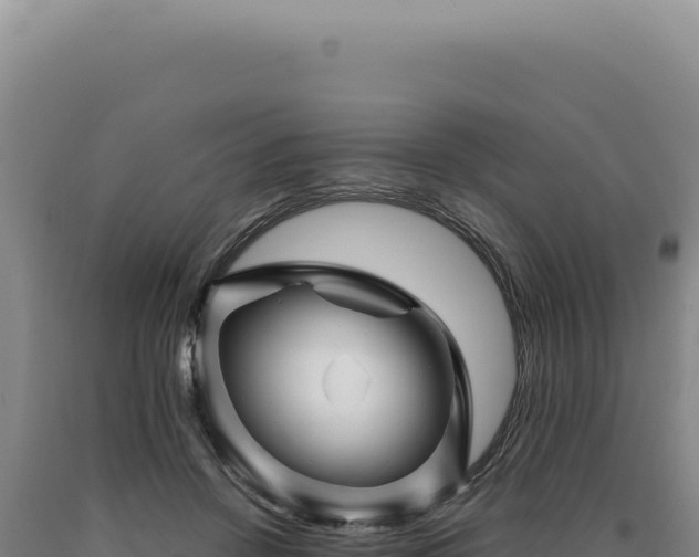 X0000090760456200707271510