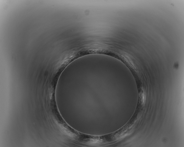 X0000090760458200707271510