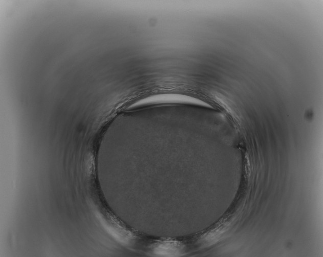 X0000090760459200707271510