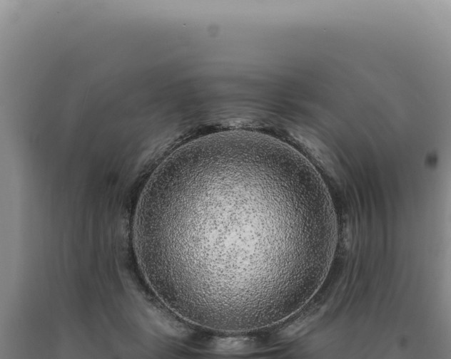 X0000090760461200707271510