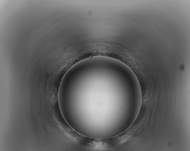 X0000090760464200707271510