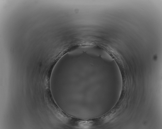 X0000090760465200707271510