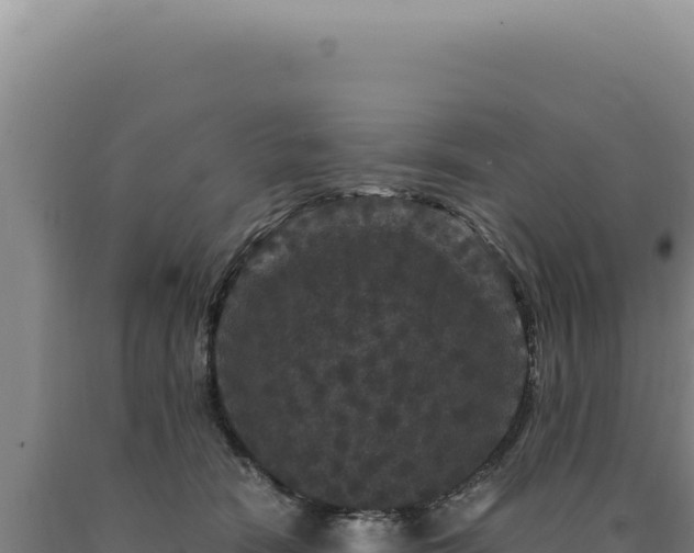 X0000090760466200707271510