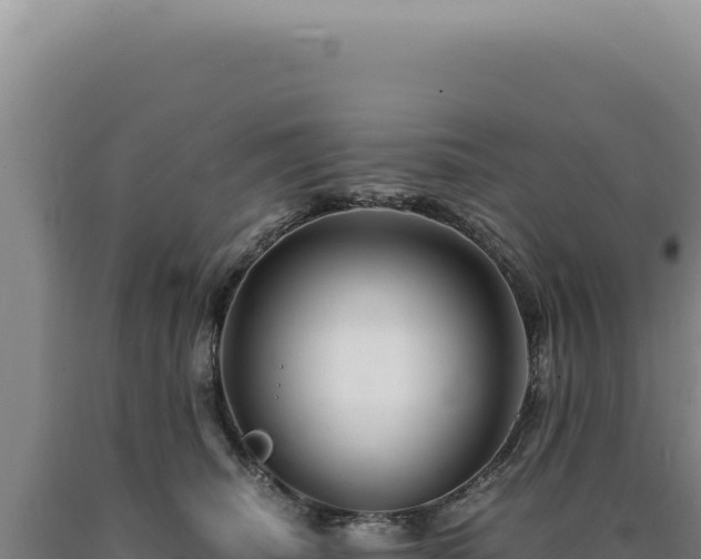 X0000090760468200707271510