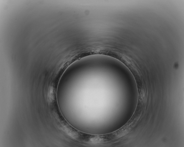 X0000090760470200707271510