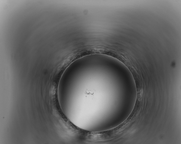 X0000090760472200707271510