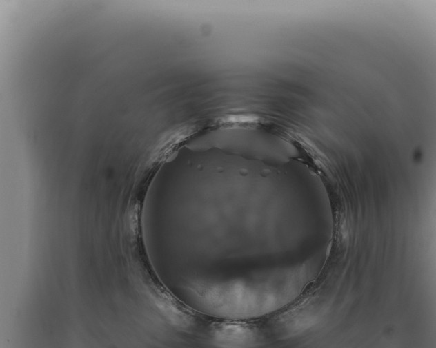 X0000090760475200707271510