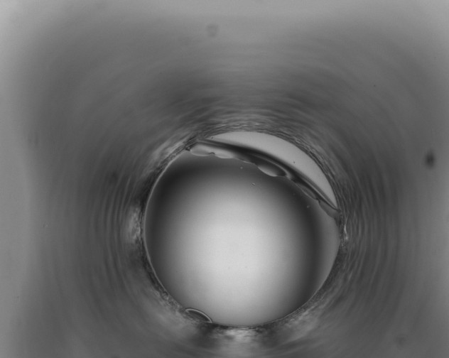 X0000090760478200707271510