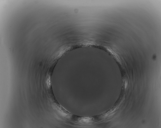 X0000090760479200707271510