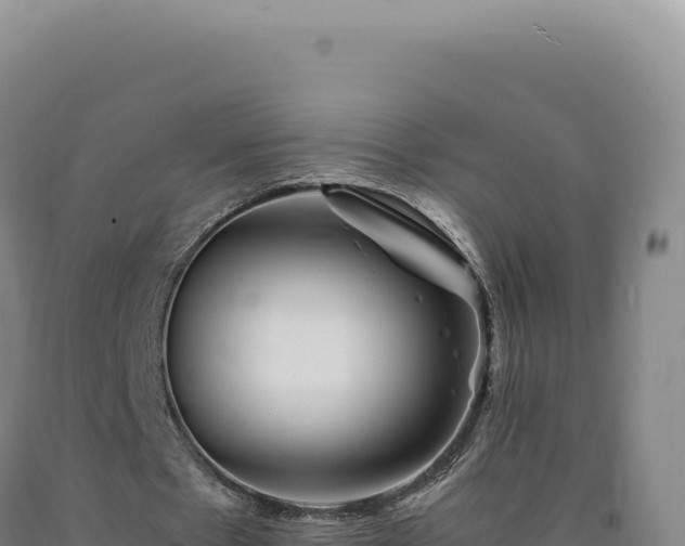 X0000090760481200707271509