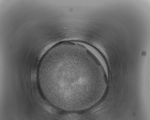 X0000090760483200707271509