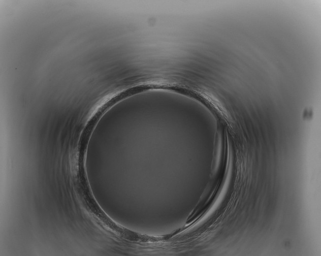 X0000090760484200707271509