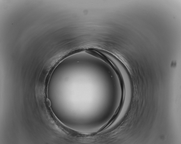 X0000090760485200707271509