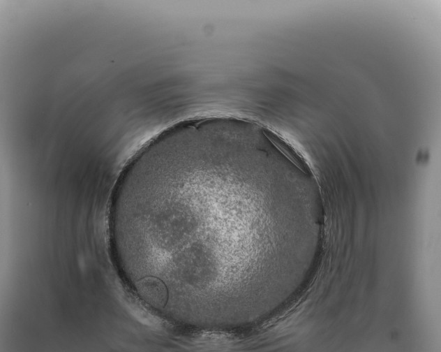 X0000090760487200707271509