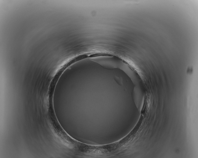 X0000090760488200707271509