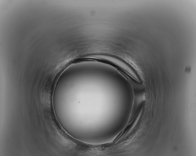 X0000090760489200707271509