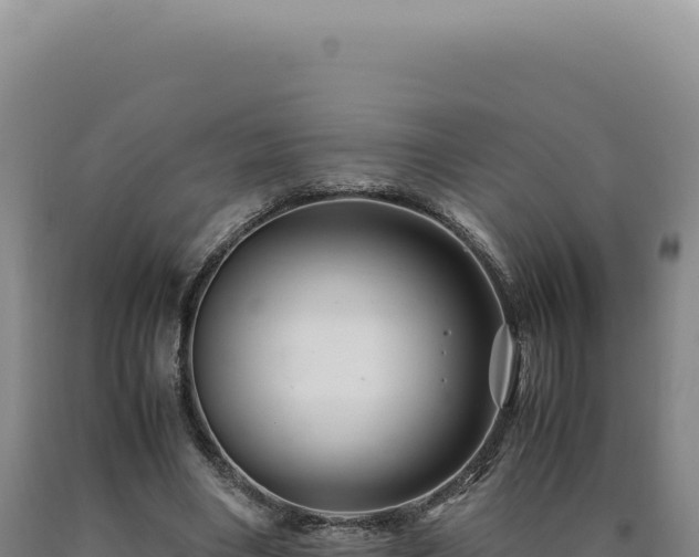 X0000090760490200707271509