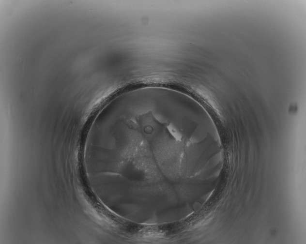 X0000090760491200707271509