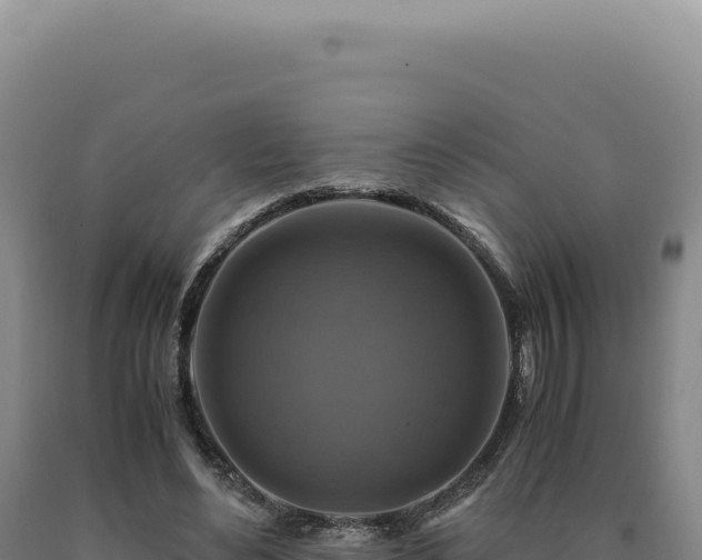 X0000090760492200707271509