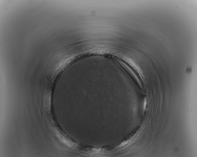 X0000090760493200707271509