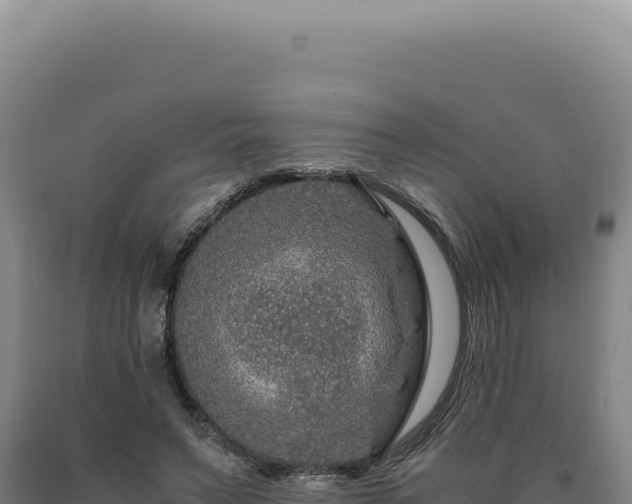 X0000090760495200707271509