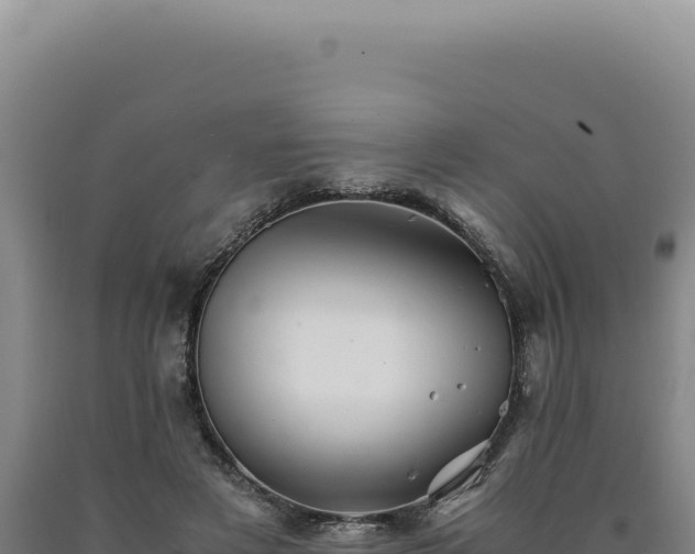 X0000090760497200707271509