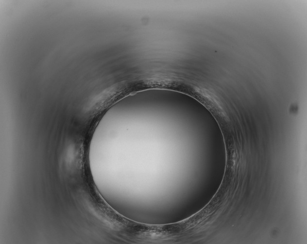 X0000090760498200707271509