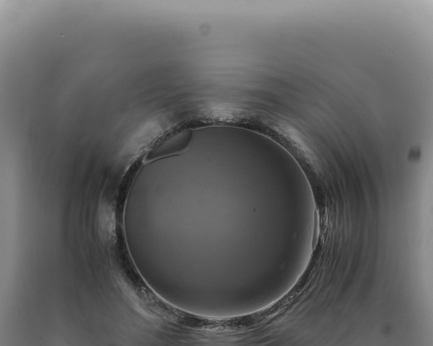 X0000090760500200707271509