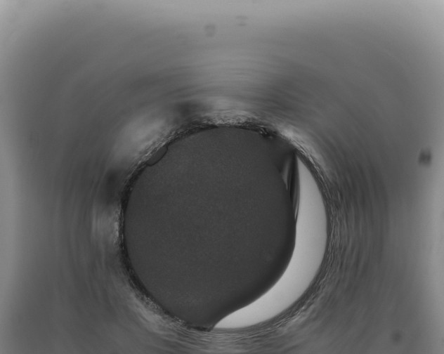 X0000090760501200707271509