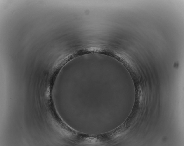 X0000090760502200707271509