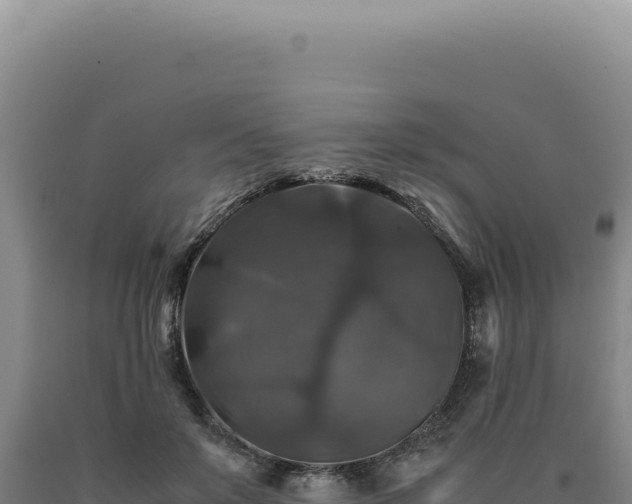 X0000090760503200707271509