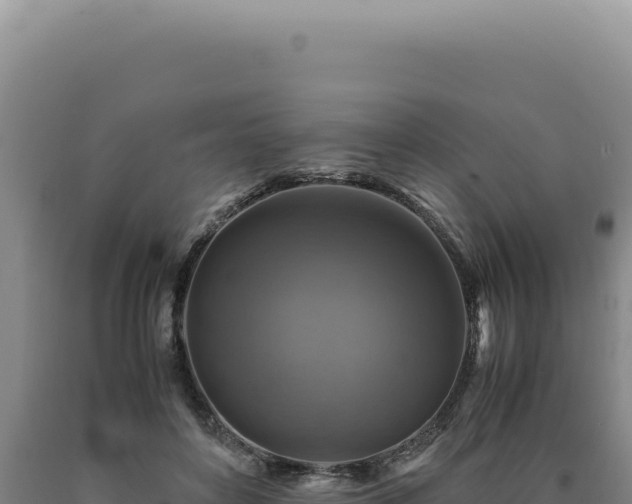 X0000090760504200707271509