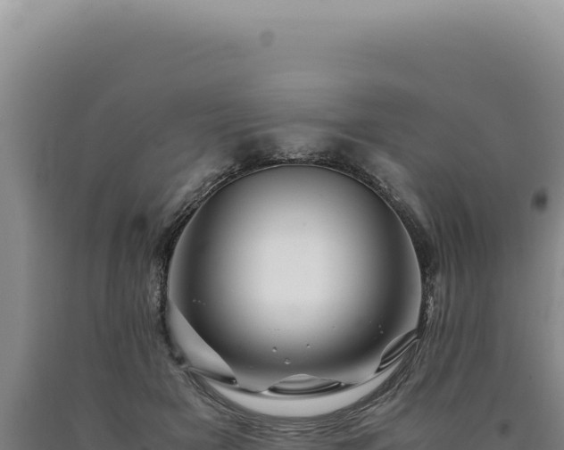 X0000090760505200707271509