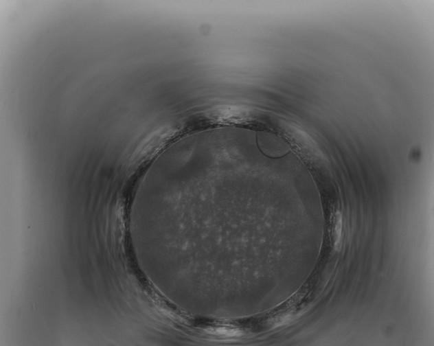 X0000090760506200707271509