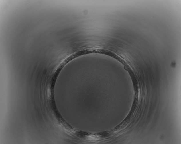 X0000090760508200707271509