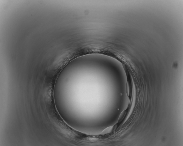 X0000090760509200707271509