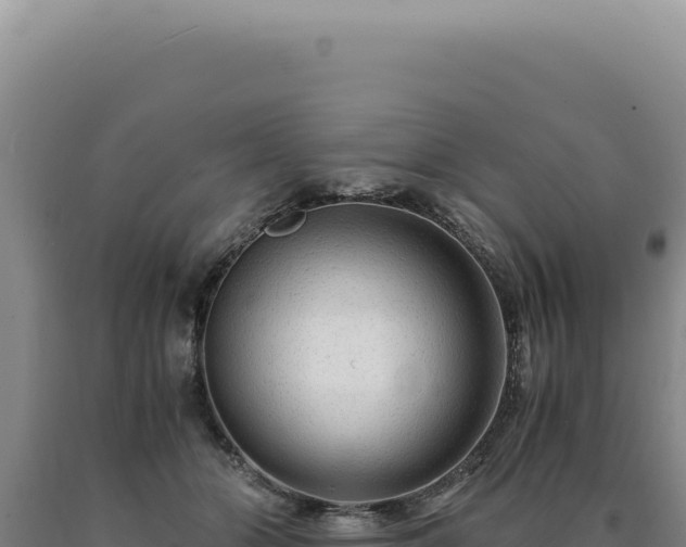 X0000090760510200707271509