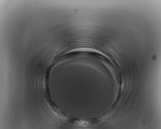 X0000090760512200707271509