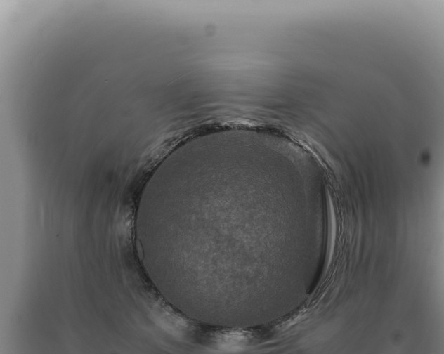 X0000090760513200707271509