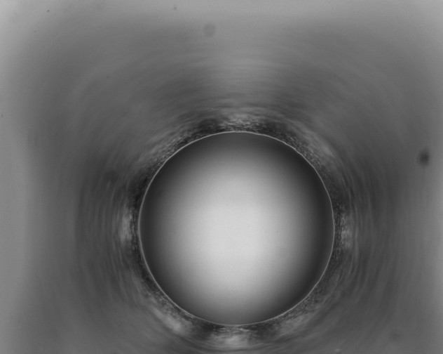 X0000090760514200707271509