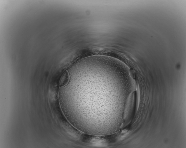 X0000090760515200707271509