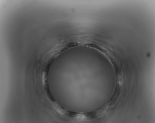 X0000090760519200707271509