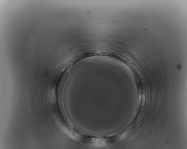 X0000090760520200707271509