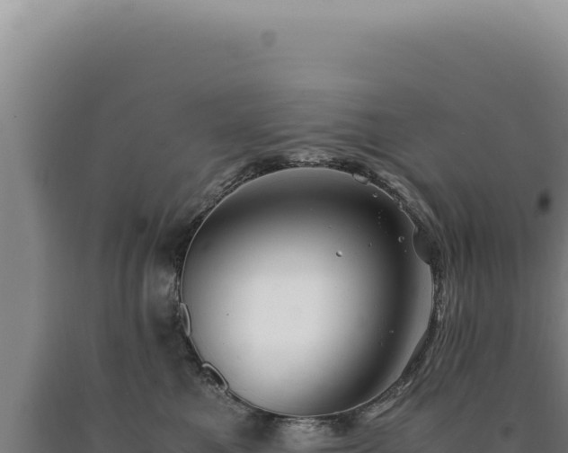 X0000090760521200707271509