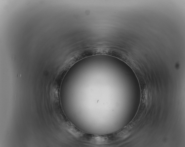 X0000090760522200707271509