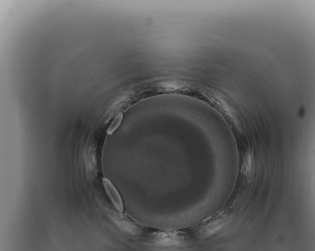 X0000090760524200707271509