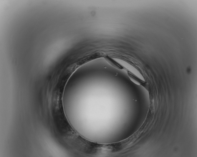 X0000090760525200707271509