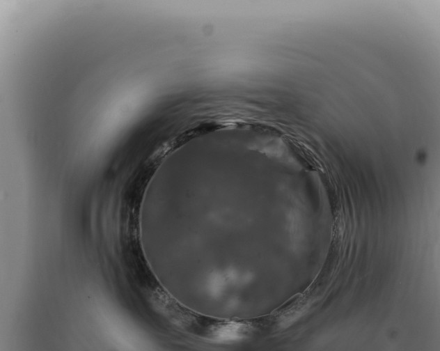 X0000090760527200707271509