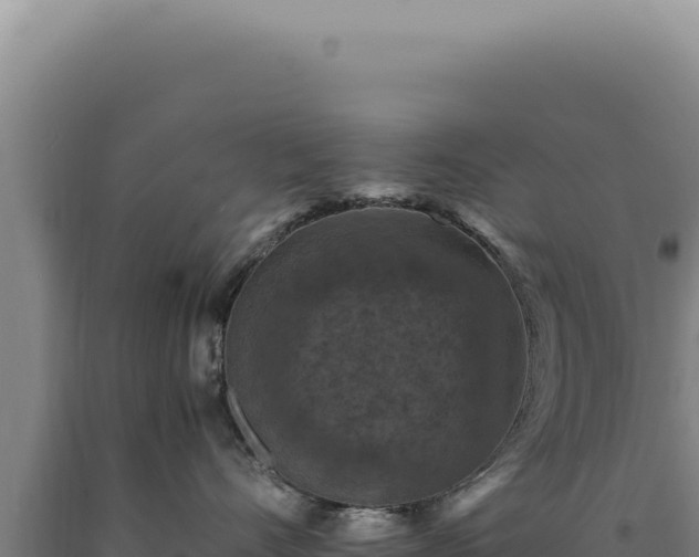 X0000090760528200707271509